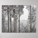 Suche nach winter forest poster Cold