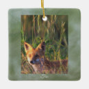 Suche nach fuchs ornamente Für alle