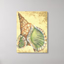 Suche nach seashells poster leinwandbilder Sand