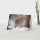 Suche nach fasan karten Vogelvogel