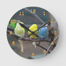 Suche nach parakeets Jede person