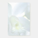 Suche nach orchideen post it Blumig