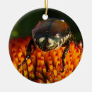 Suche nach fehler ornamente Blume