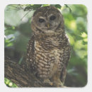Suche nach stange aufkleber Vogel