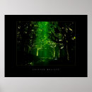 Suche nach mystischer wald poster Baum