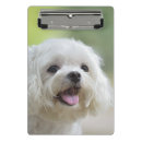 Suche nach schauen sie klemmbrett Hund