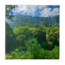 Suche nach regenwald fliesen Hawaii