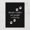 Suche nach agility postkarten Border collie
