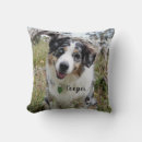 Suche nach australian shepherd kissen Hund