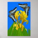 Suche nach malaysia poster Blume