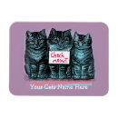 Suche nach meme magnete Kätzchen