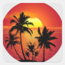 Suche nach palm tree aufkleber Palmenstrand