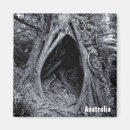 Suche nach bäume australien magnete Fotografie