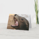 Suche nach seelöwen karten Tiere