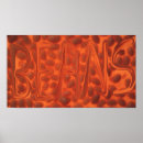 Suche nach bohnen poster Kochen