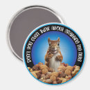 Suche nach nüsse magnete Eichhörnchen