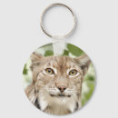 Suche nach luchs schlüsselanhänger Katze