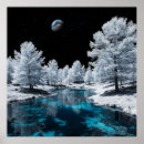 Suche nach schneebedeckter wald poster Friedlich