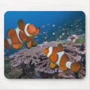 Suche nach zwei tiere mousepads Volle länge