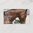 Suche nach dressage Reiten