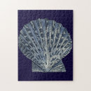 Suche nach muscheln puzzle Muschel des meeres
