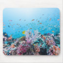 Suche nach bunte mousepads Strand