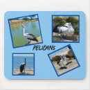Suche nach pelikan mousepads Fotografie