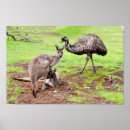 Suche nach roo poster Australien