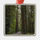 Suche nach usa ornamente Kalifornien