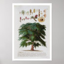 Suche nach johannes poster Deutsch