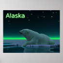 Suche nach arktischer bär poster Tiere