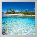 Suche nach exotische fische kunst Riff