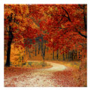 Suche nach wald im herbst poster Blätter