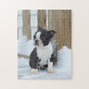 Suche nach hund im schnee puzzle Süß