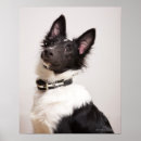 Suche nach tierkopf poster Tierkörper