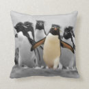 Suche nach rockhopper pinguin Pinguine