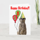 Suche nach meerkats Geburtstag