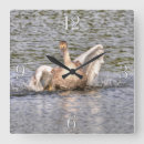 Suche nach schwan wanduhren Für sie/ihn