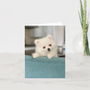 Suche nach eskies karten Welpe