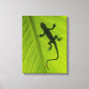 Suche nach gecko leinwandbilder Tier