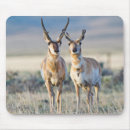 Suche nach bock mousepads Superstock