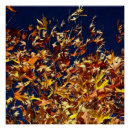 Suche nach herbstlaub poster Rückgang