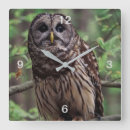 Suche nach owl wanduhren Uhu