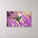 Suche nach ohren leinwandbilder Jede person