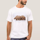Suche nach spanielwelpe Natur