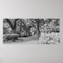 Suche nach spanisches moos poster Bäume