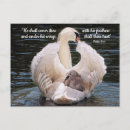 Suche nach mit flügeln postkarten Für alle