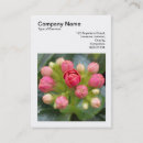 Suche nach knospe visitenkarten Blume
