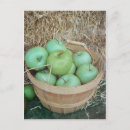 Suche nach grüner apfel postkarten Äpfel