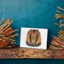 Suche nach große katze fotoplatten Aquarell